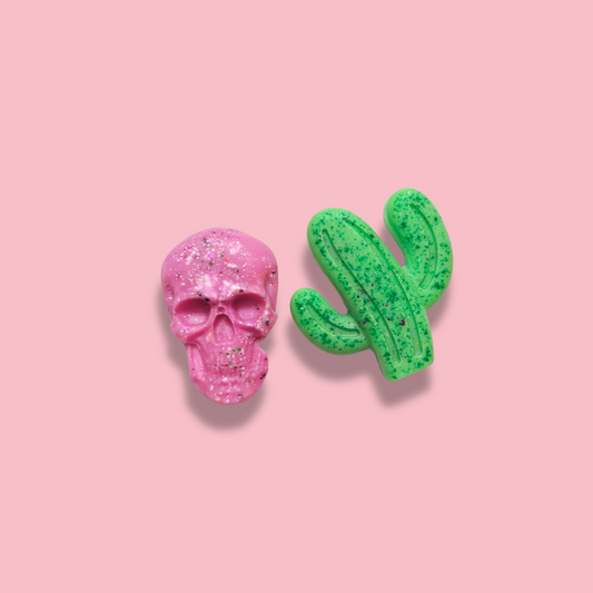 Kylskåpsmagneter [omaka par]